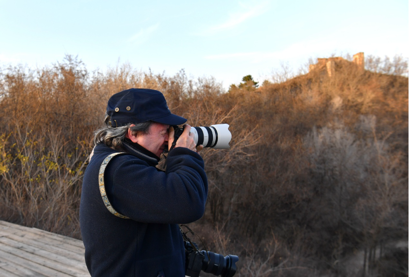 1763689603825183.png image.png