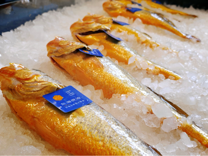 1765510271942001.png image.png