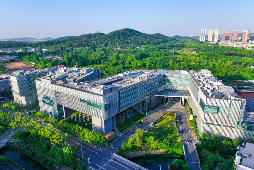 1767775281836288.png IMG_3987.png