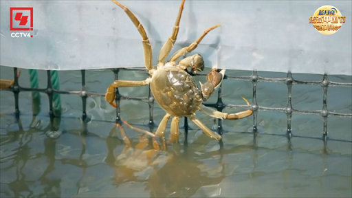 image1.png