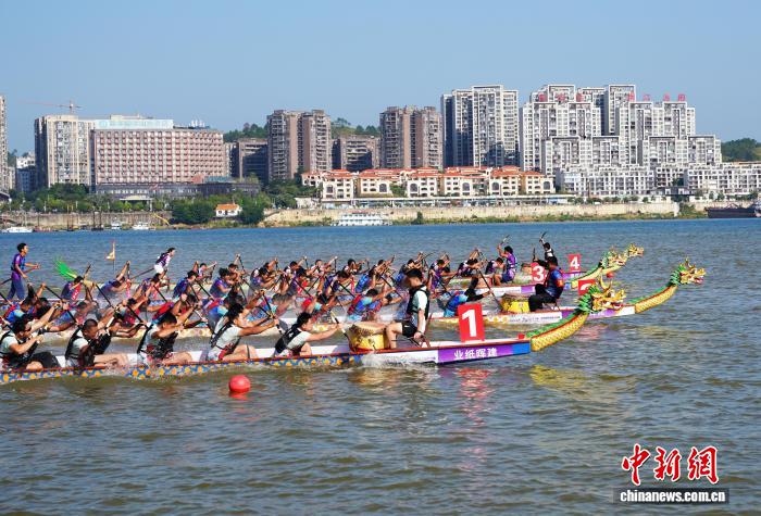 27支队伍角逐2026年中国—东盟国际龙舟公开赛